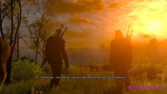 Witcher 3 - dawn on the first day of the game