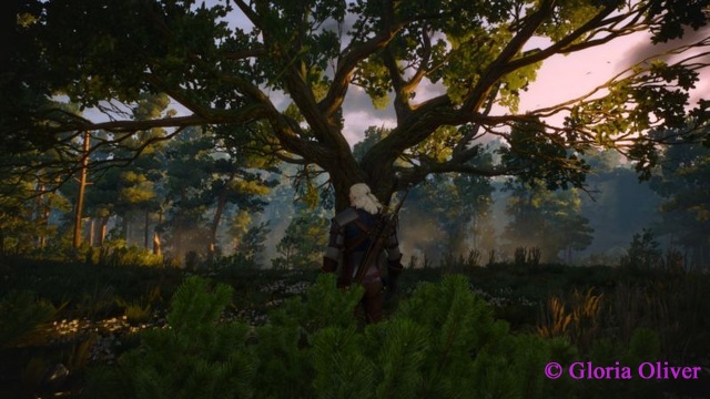 Witcher 3 - White Orchard