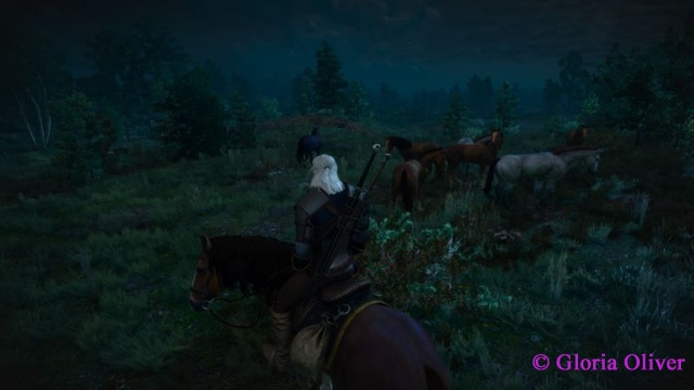 Witcher 3 - White Orchard - horses