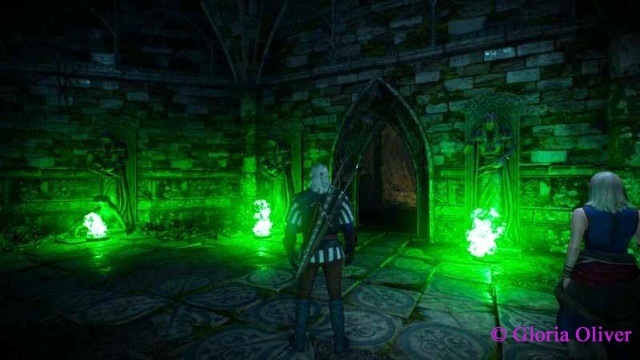 Witcher 3 - magic chamber