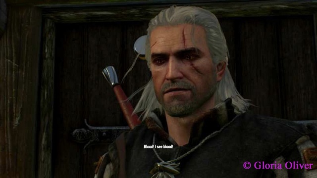 Witcher 3 - Geralt