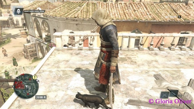 Assassins Creed - BlackFlag