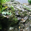 DSC07450