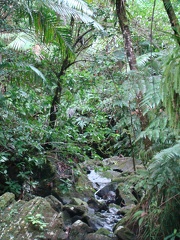 DSC07461