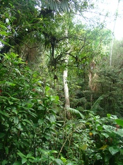 DSC07464