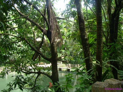 DSC07465