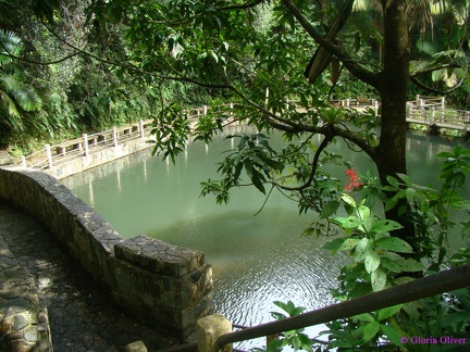 DSC07466