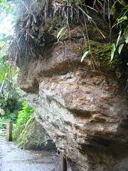 DSC07467