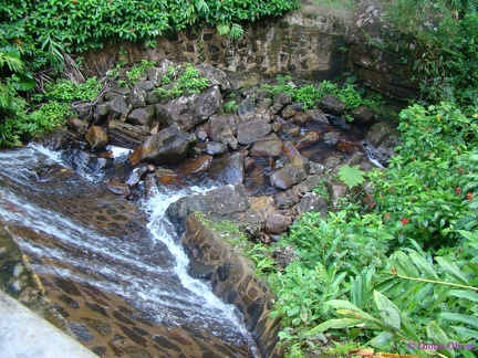 DSC07469