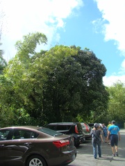 DSC07470