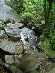 DSC07472