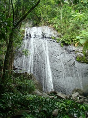 DSC07474