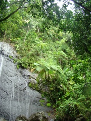DSC07475