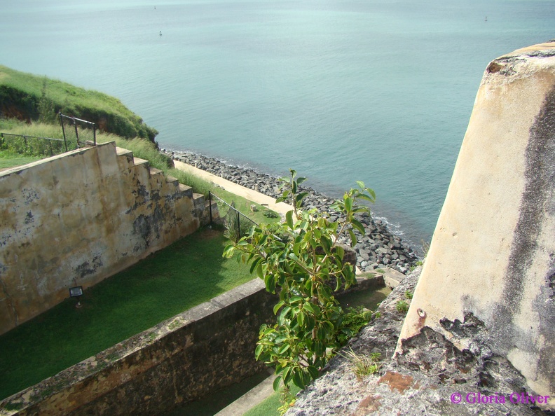 DSC07536.JPG