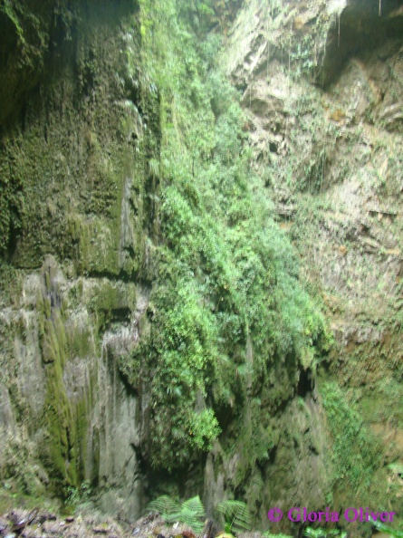 DSC07703.JPG