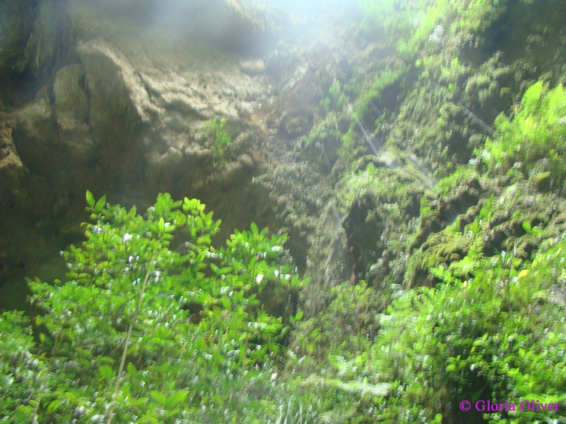DSC07709.JPG
