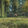 ffxiv 12122015 142118