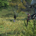ffxiv 12122015 142412