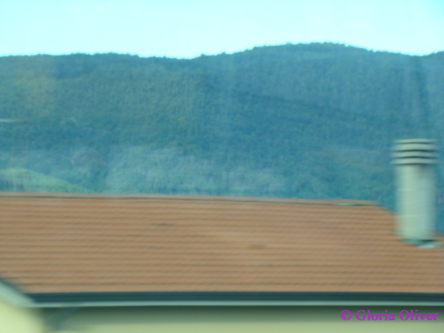 DSC08932.JPG