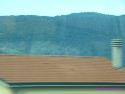 DSC08932