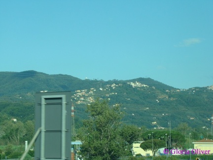 DSC08939