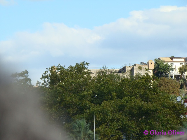 DSC08954.JPG
