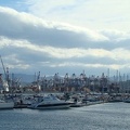 DSC08955
