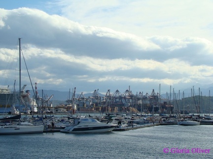 DSC08955