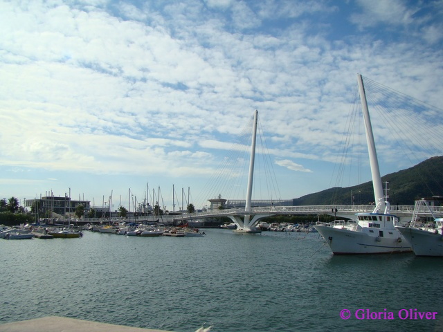 DSC08956.JPG