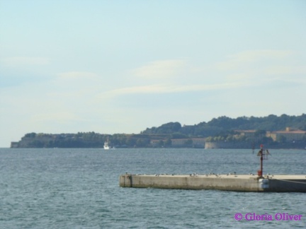 DSC08962