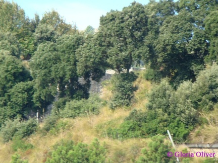 DSC08978