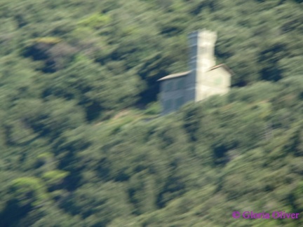 DSC09010