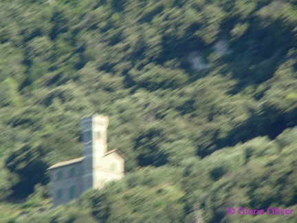 DSC09011