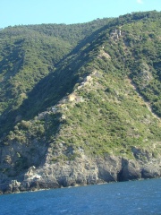DSC09019