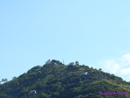 DSC09025