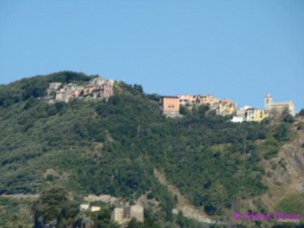 DSC09036