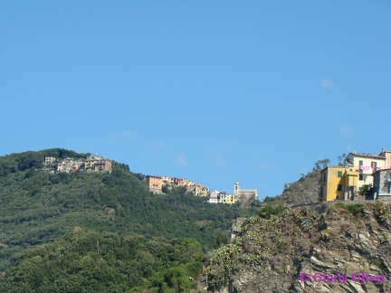 DSC09038