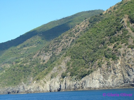 DSC09045