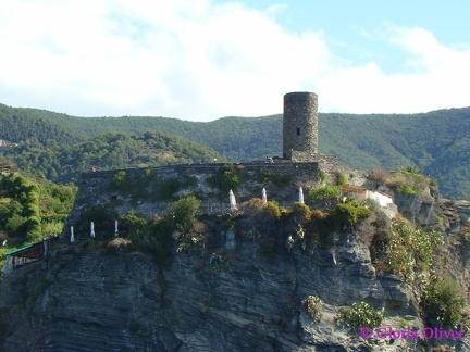 DSC09054