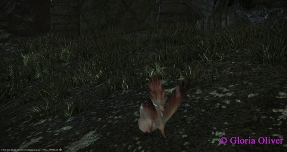 ffxiv_01312016_162721
