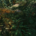 20250531130016 1-min